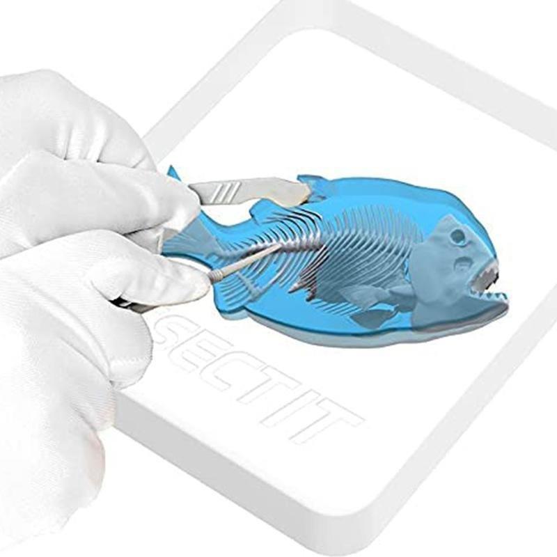 Slimy Lab Dissect-It Piranha Synthetic Dissection Kit, , large image number 4