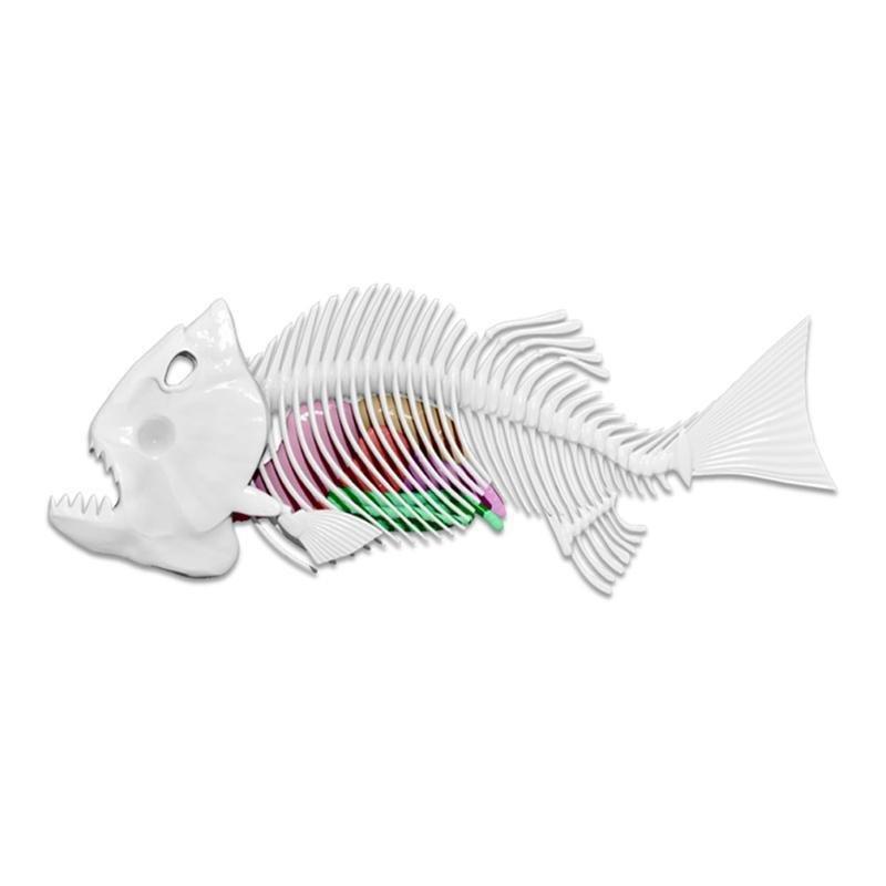 Slimy Lab Dissect-It Piranha Synthetic Dissection Kit, , large image number 5