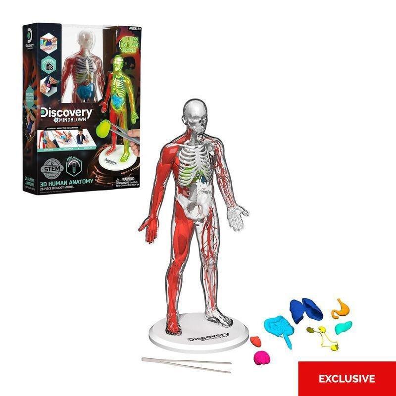 Discovery Mindblown 3D Human Anatomy 28-Piece Biology Model, , large image number 0