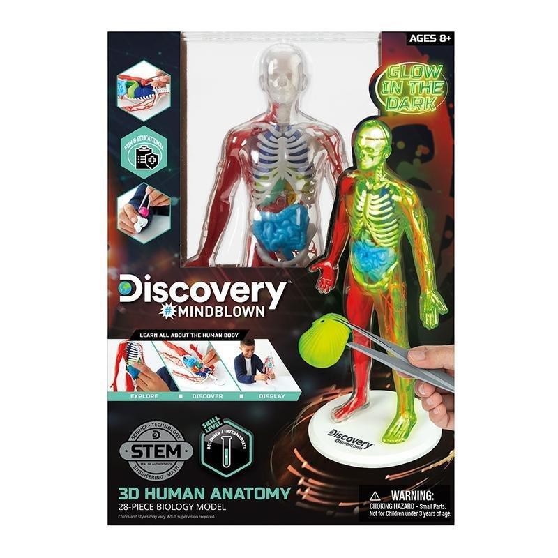 Discovery Mindblown 3D Human Anatomy 28-Piece Biology Model, , large image number 1