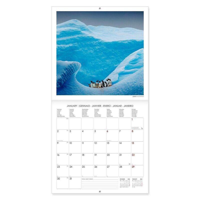 Legami Calendar 2023 (30 x 29 cm) - Penguins, , large image number 1