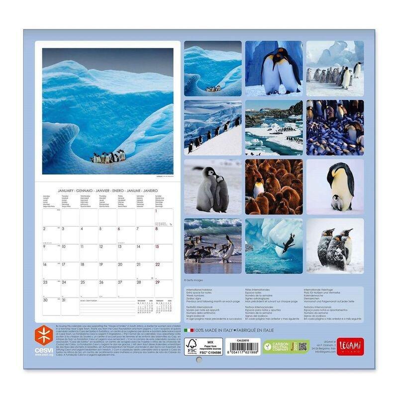 Legami Calendar 2023 (30 x 29 cm) - Penguins, , large image number 2