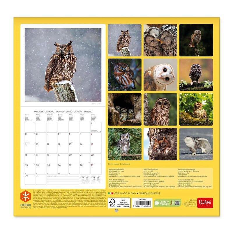 Legami Calendar 2023 (30 x 29 cm) - Owls, , large image number 0