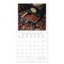 LEGAMI - Legami Calendar 2023 (30 x 29 cm) - Coffee & Chocolate