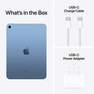 APPLE - Apple iPad 10.9 Inch (Gen 10) Wi-Fi Tablet 256GB - Blue