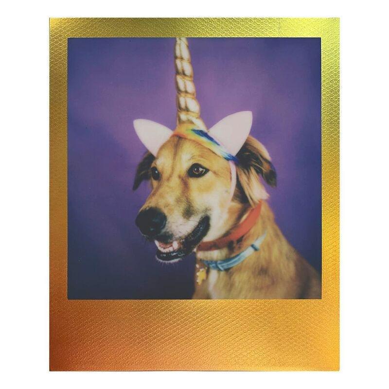 Polaroid Color Film for i-Type - Metallic Spectrum Edition, , large image number 2