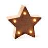 LEGAMI - Legami Mini Decorative Christmas Light - Gold Rose - Stars