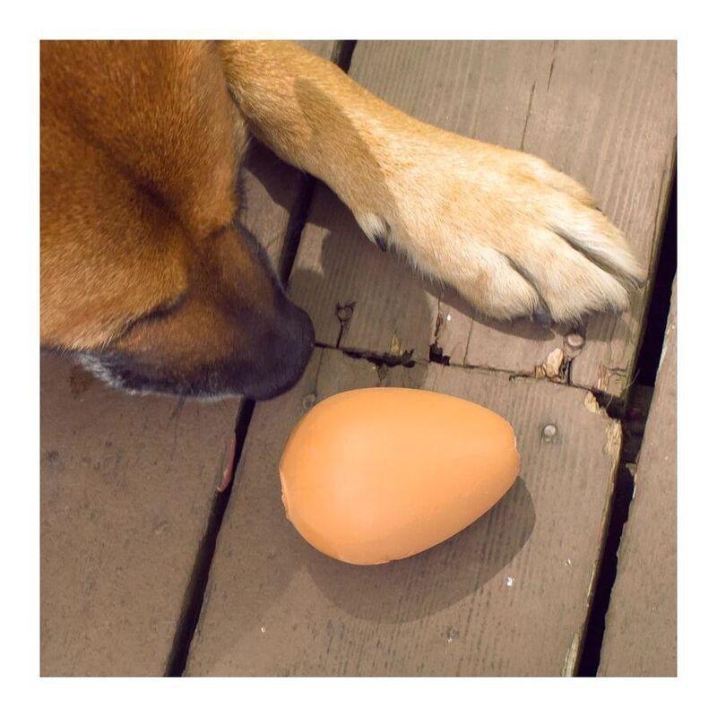 Kikkerland Kobe Bouncy Egg Treat Ball, , large image number 1