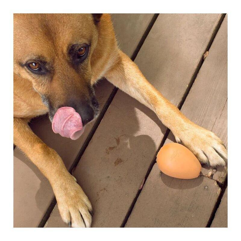 Kikkerland Kobe Bouncy Egg Treat Ball, , large image number 2