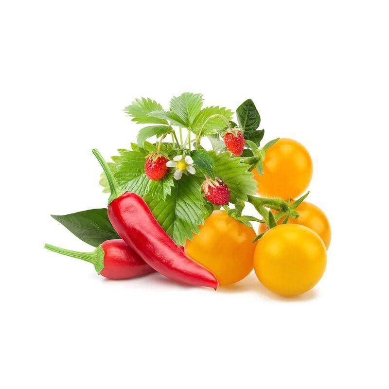 Click & Grow Fruit and Veggie Mix Smart Garden refill (Pack 0f 9), , large image number 1