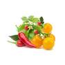 CLICK & GROW - Click & Grow Fruit and Veggie Mix Smart Garden refill (Pack 0f 9)