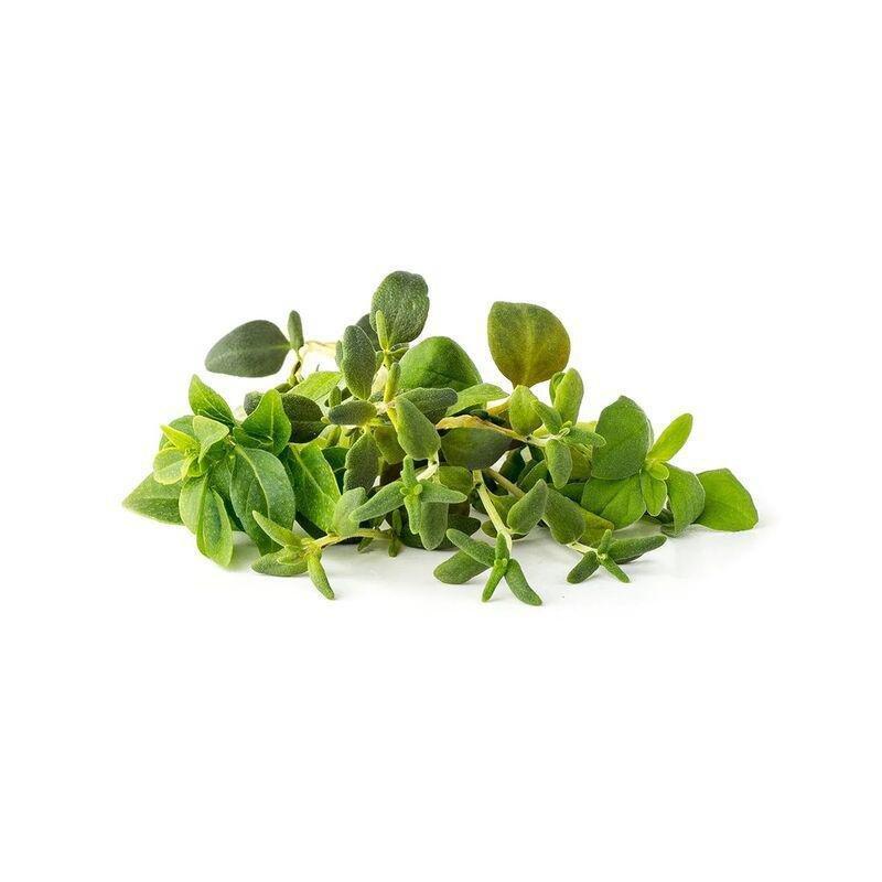 Click & Grow Italian Herb Mix Smart Garden refill (Pack 0f 9), , large image number 0
