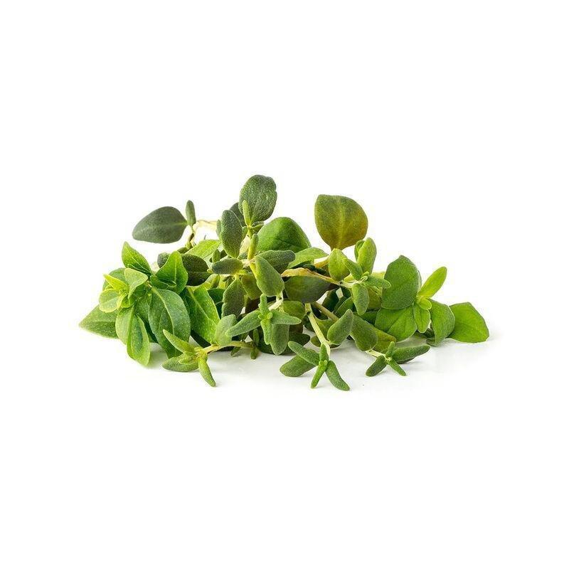 CLICK & GROW - Click & Grow Italian Herb Mix Smart Garden refill (Pack 0f 9)