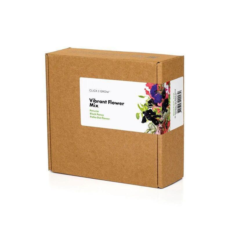 CLICK & GROW - Click & Grow Vibrant Flower Mix Smart Garden refill (Pack 0f 9)