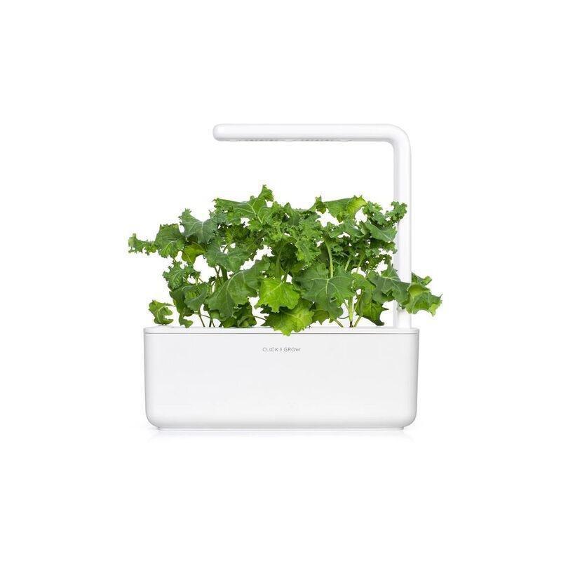 Click & Grow Green Kale Smart Garden refill (Pack 0f 3), , large image number 2