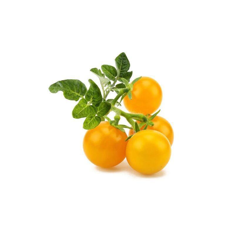 Click & Grow Yellow Mini Tomato Smart Garden refill (Pack 0f 3), , large image number 2