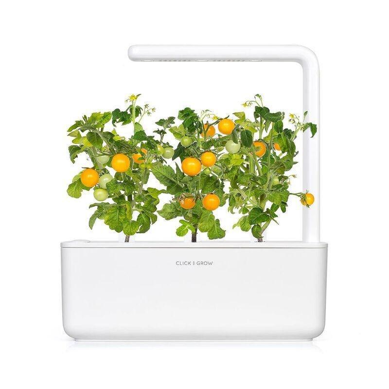 Click & Grow Yellow Mini Tomato Smart Garden refill (Pack 0f 3), , large image number 3