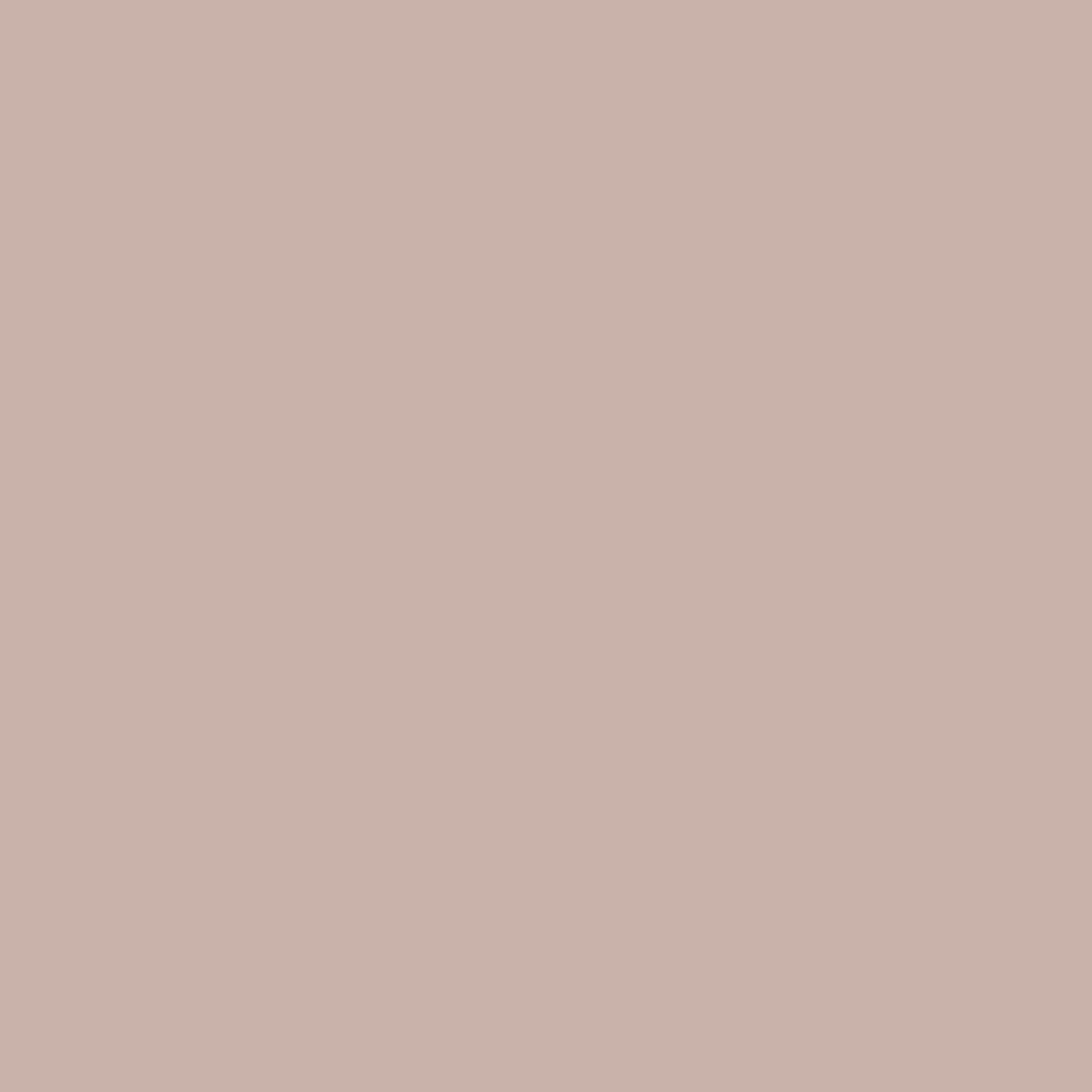 026 Metallic Light Taupe