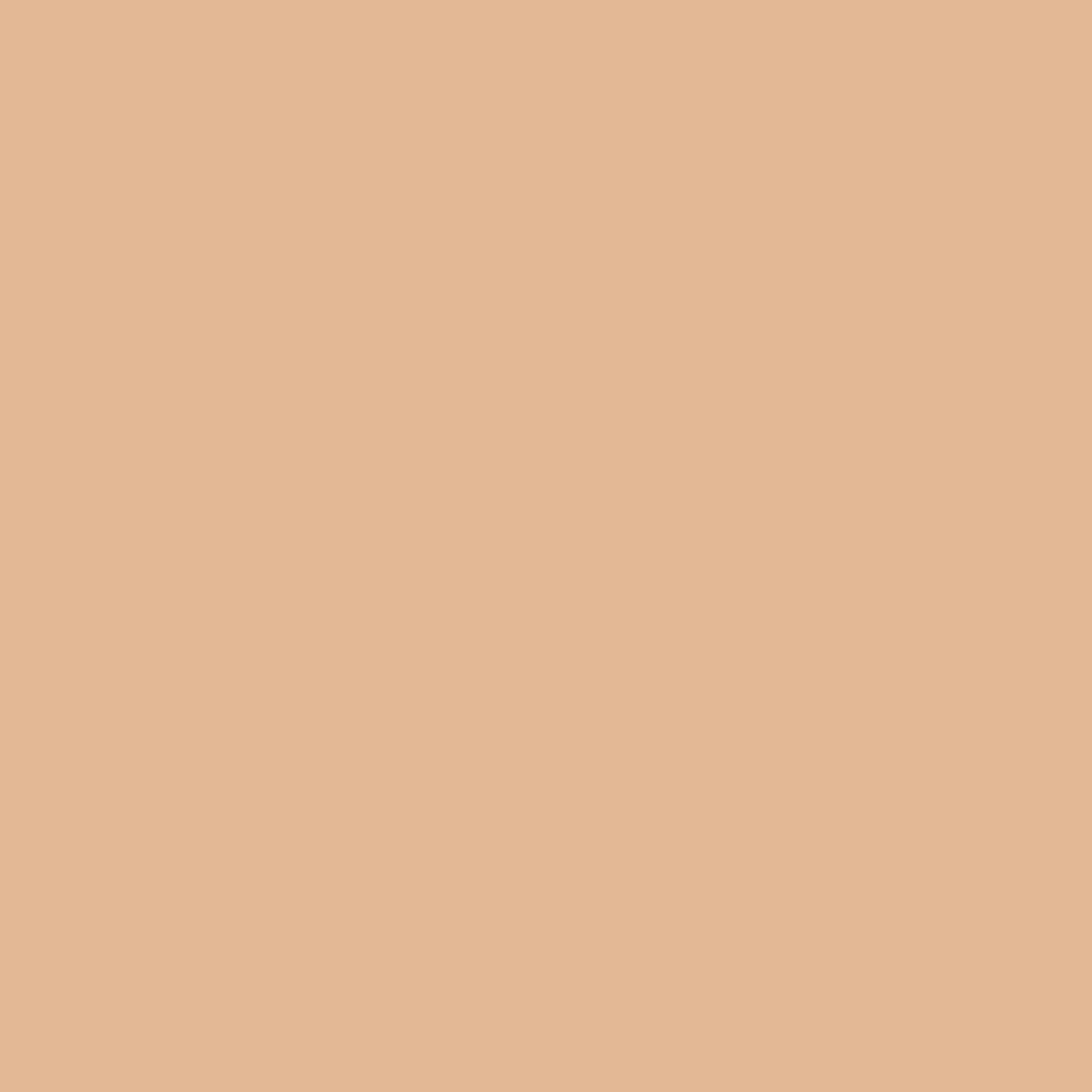 007 Warm Beige