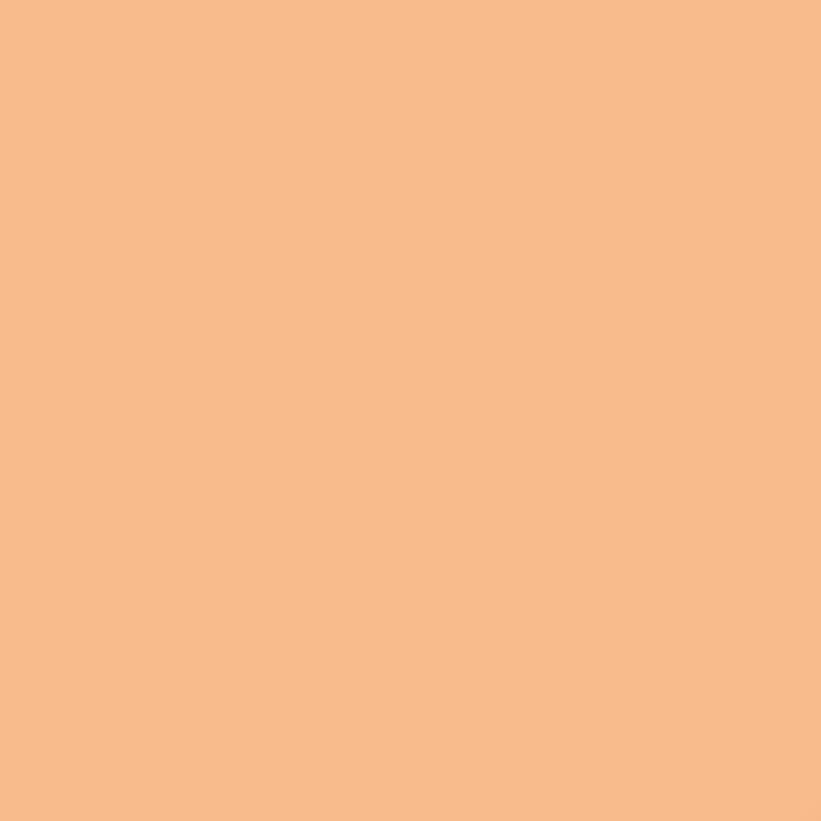 004 Warm Beige