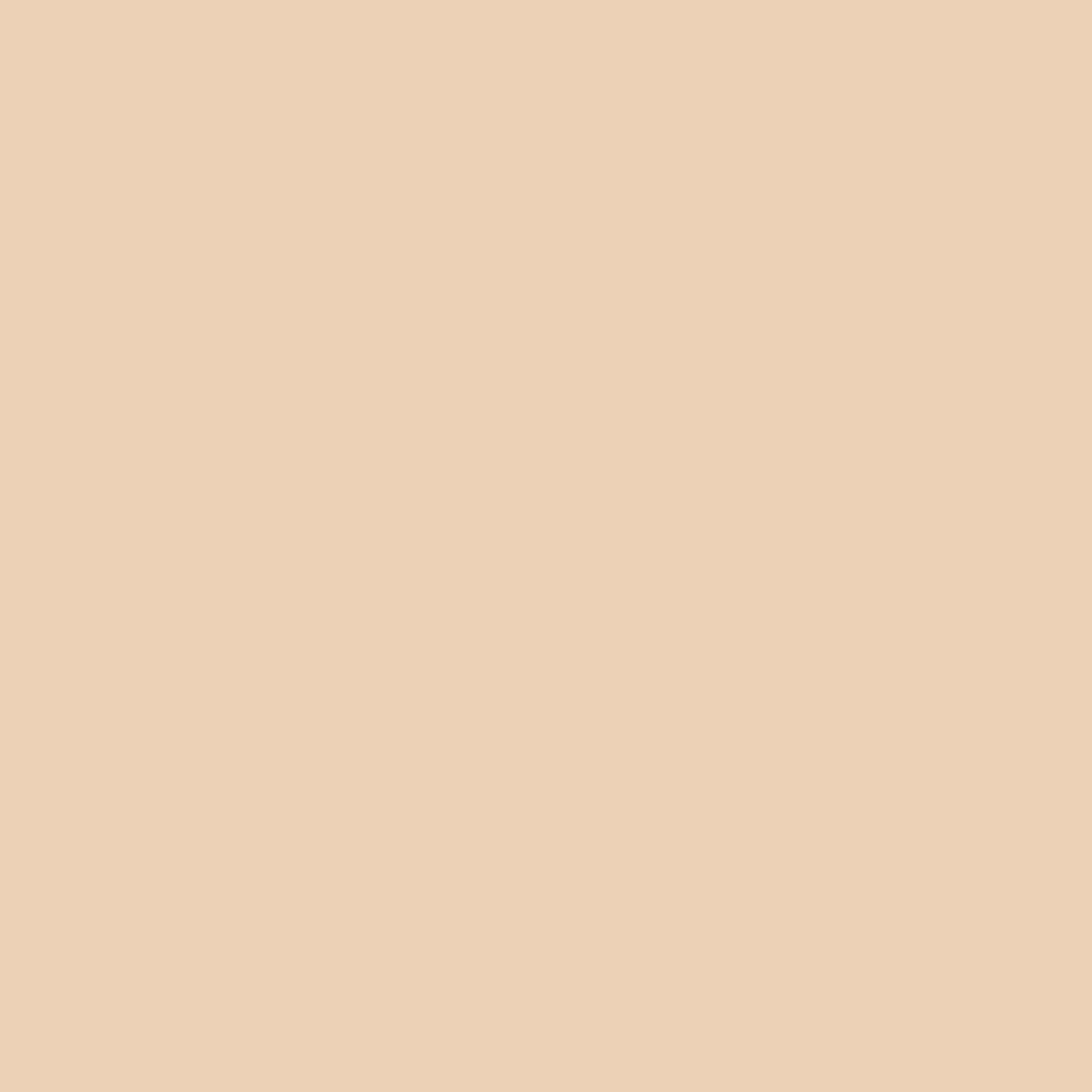 55 Light Gold