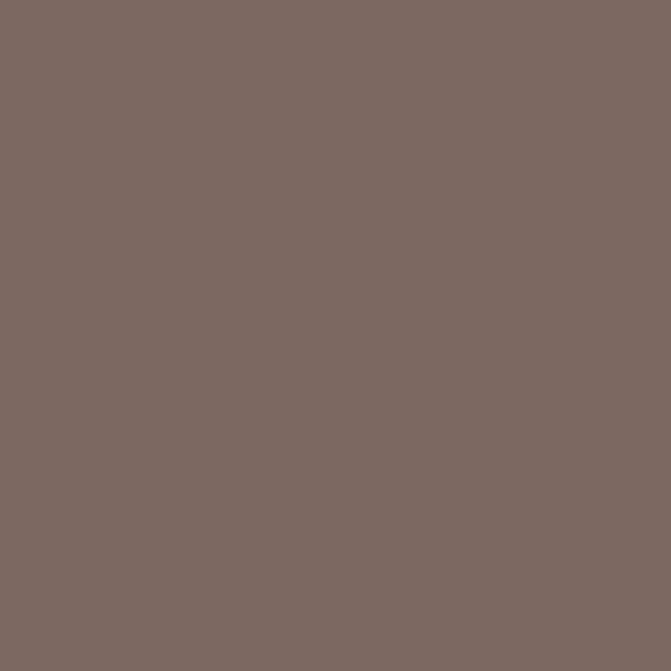 02 Chestnut-haired and Blonde wom