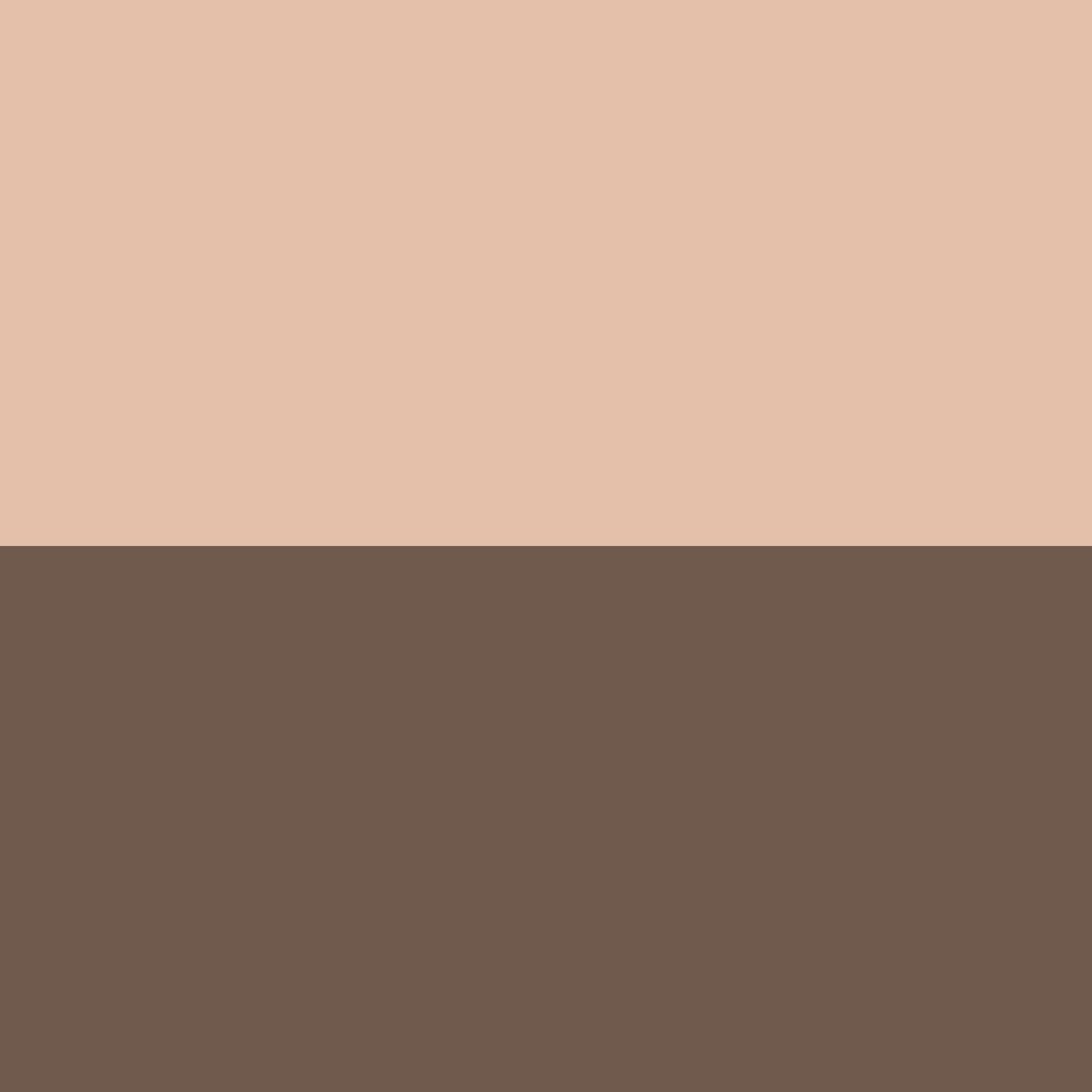 02 Warm Beige / Dark Brown