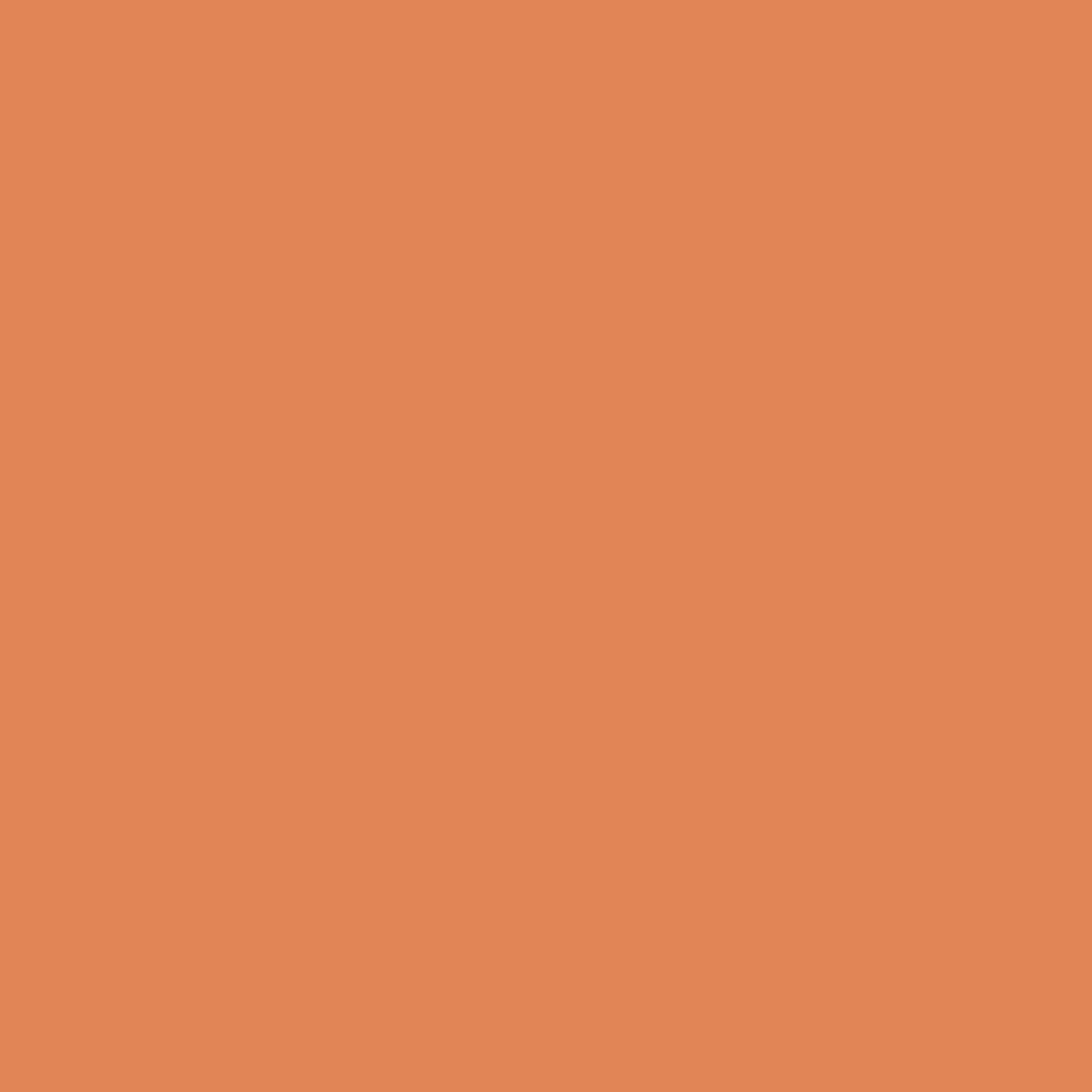 03 Sienna