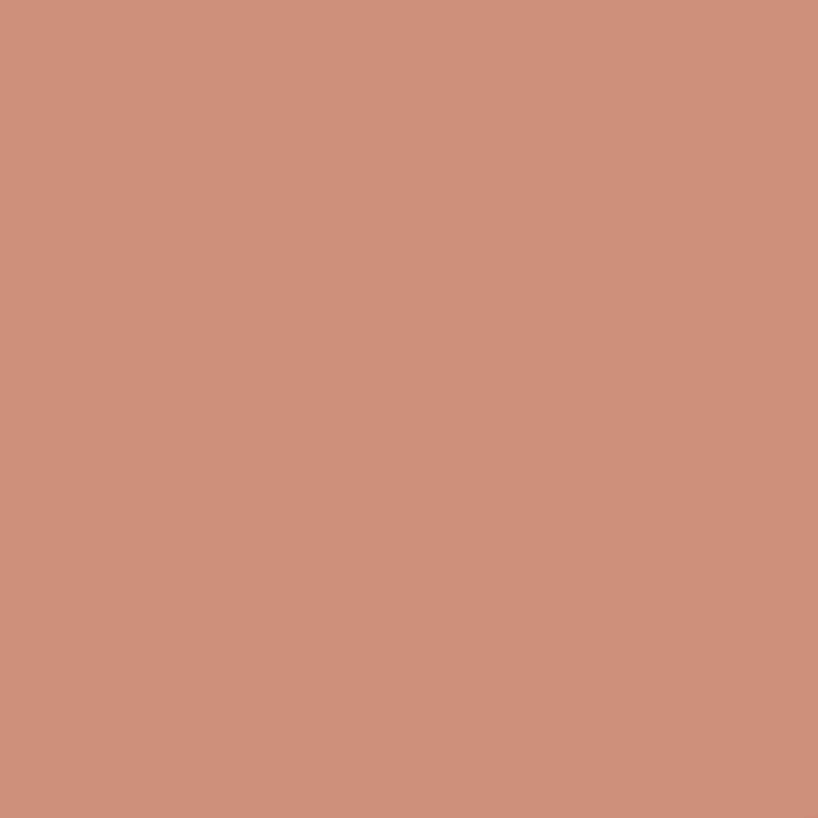 433 Light Rosy Brown