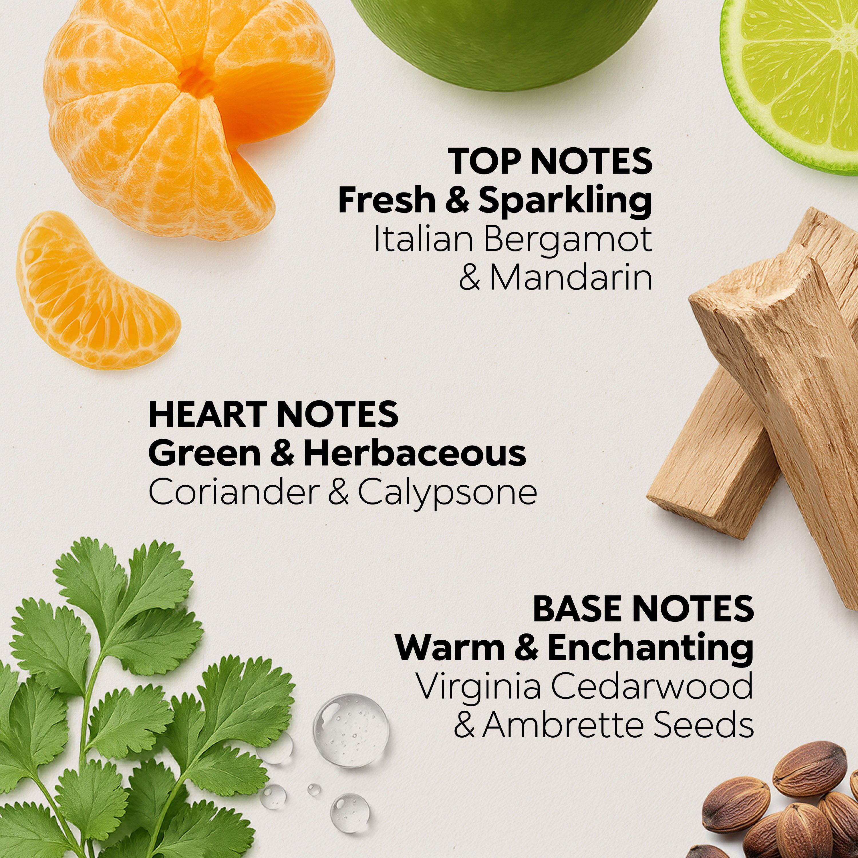 Scent Of Milan Eau de Parfum Navigli District, 002, large image number 7