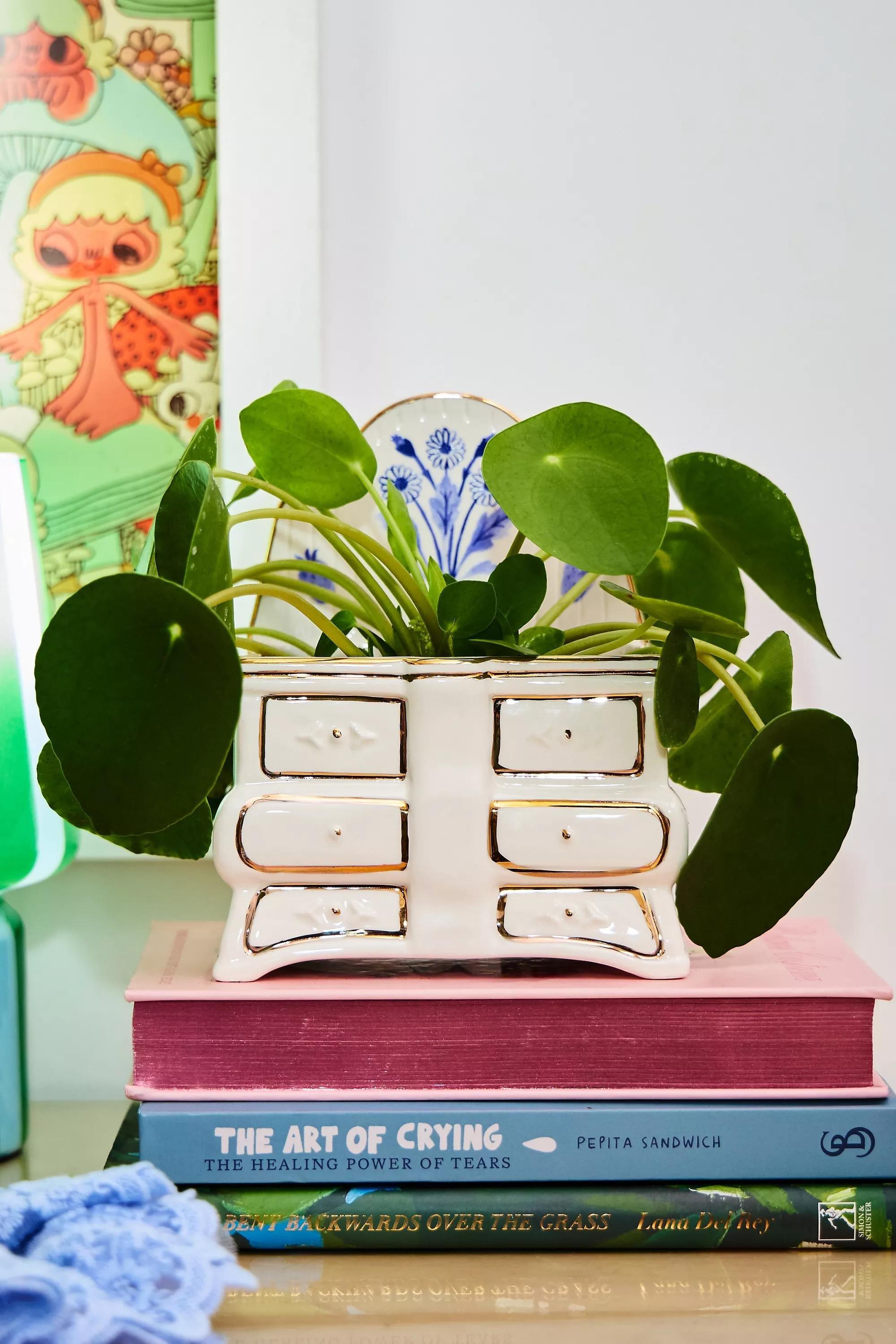 White Mini Dresser Planter, CREME, medium