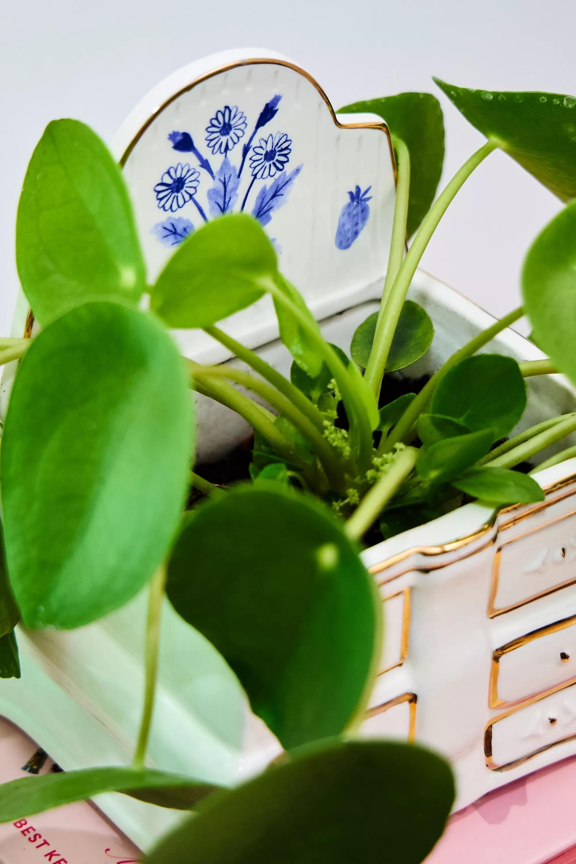 White Mini Dresser Planter, CREME, medium