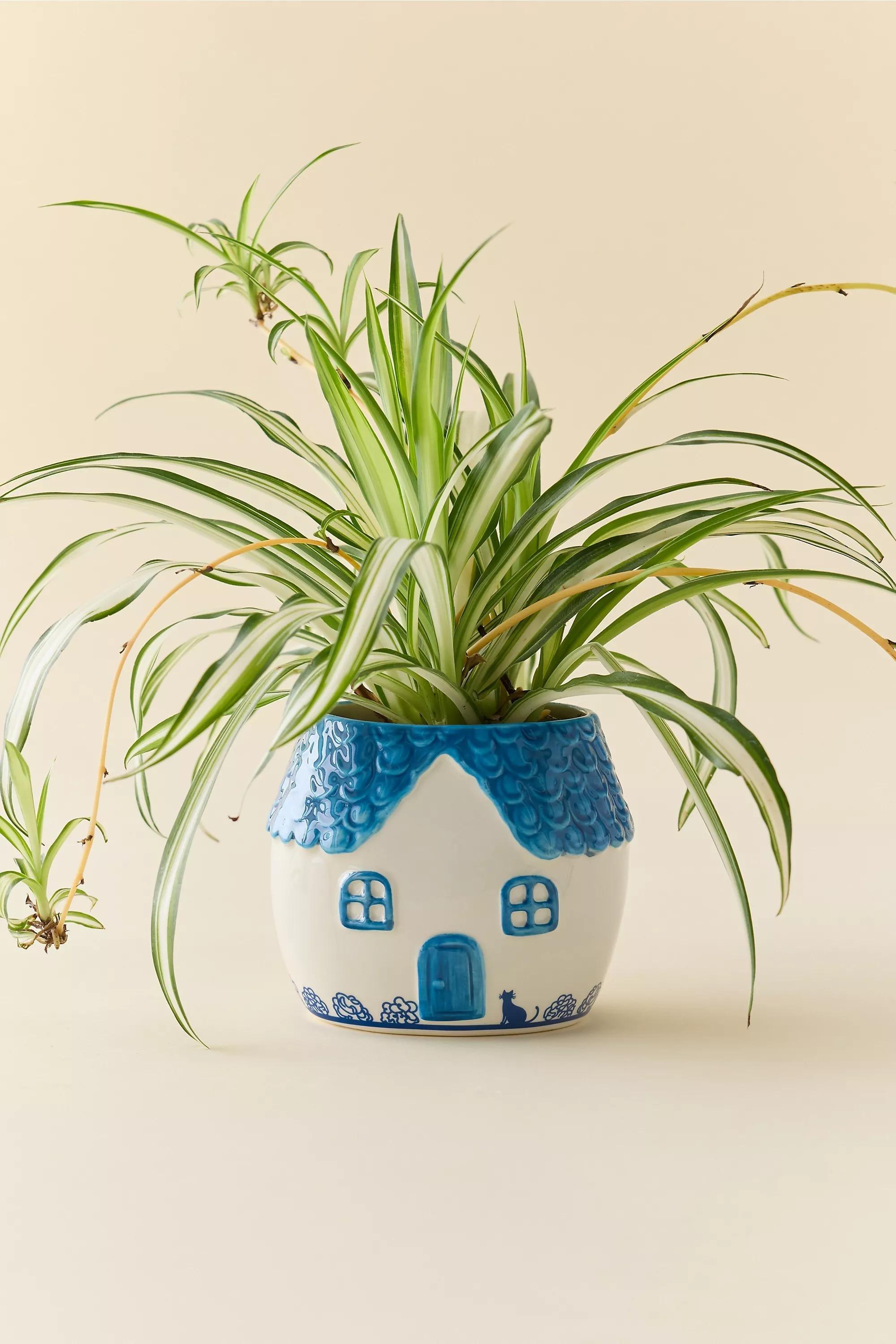 Blue Cottage Planter, , medium