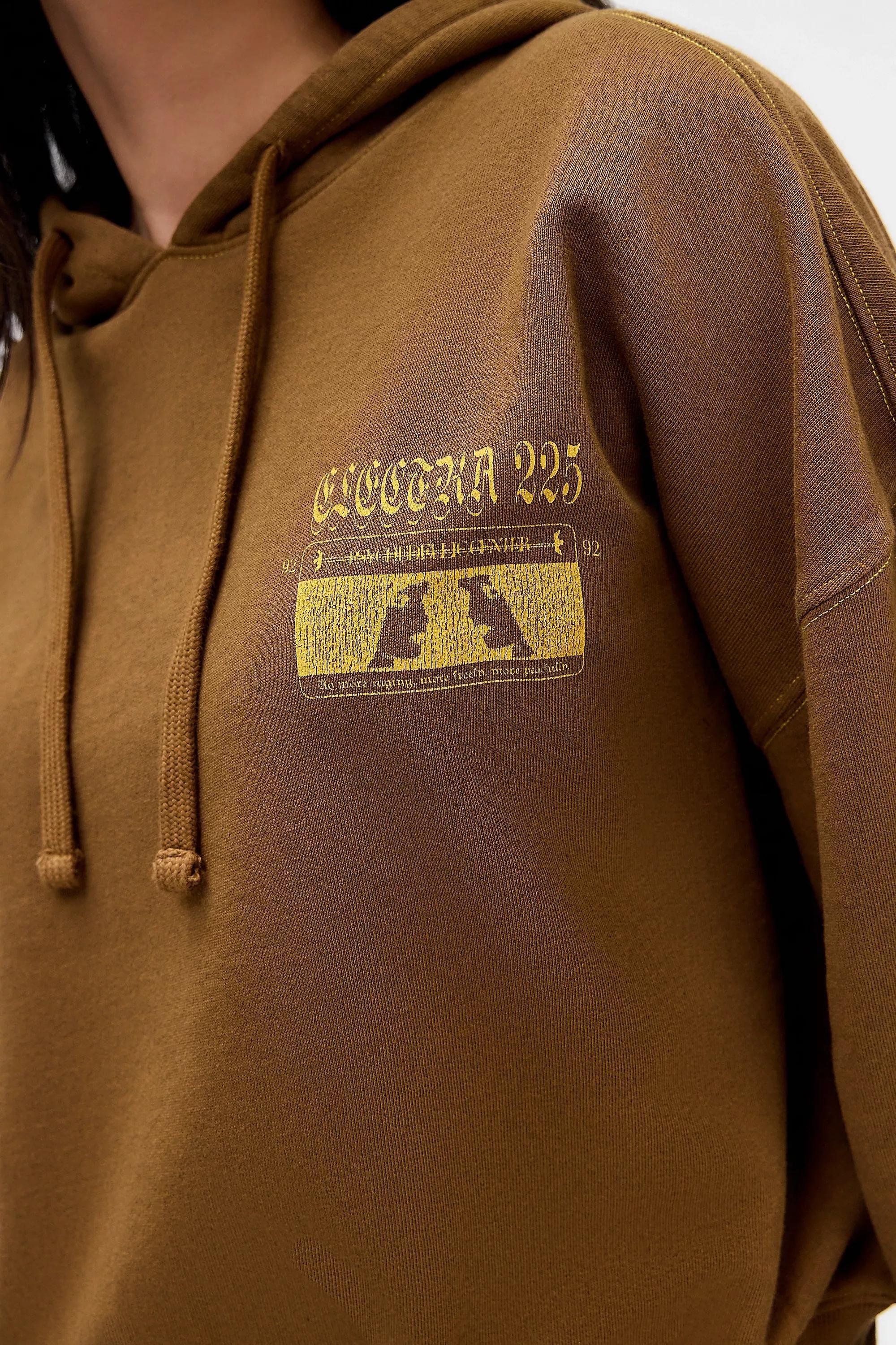 Brown Uo Otis Print Overhead Hoodie, BRONZE, medium