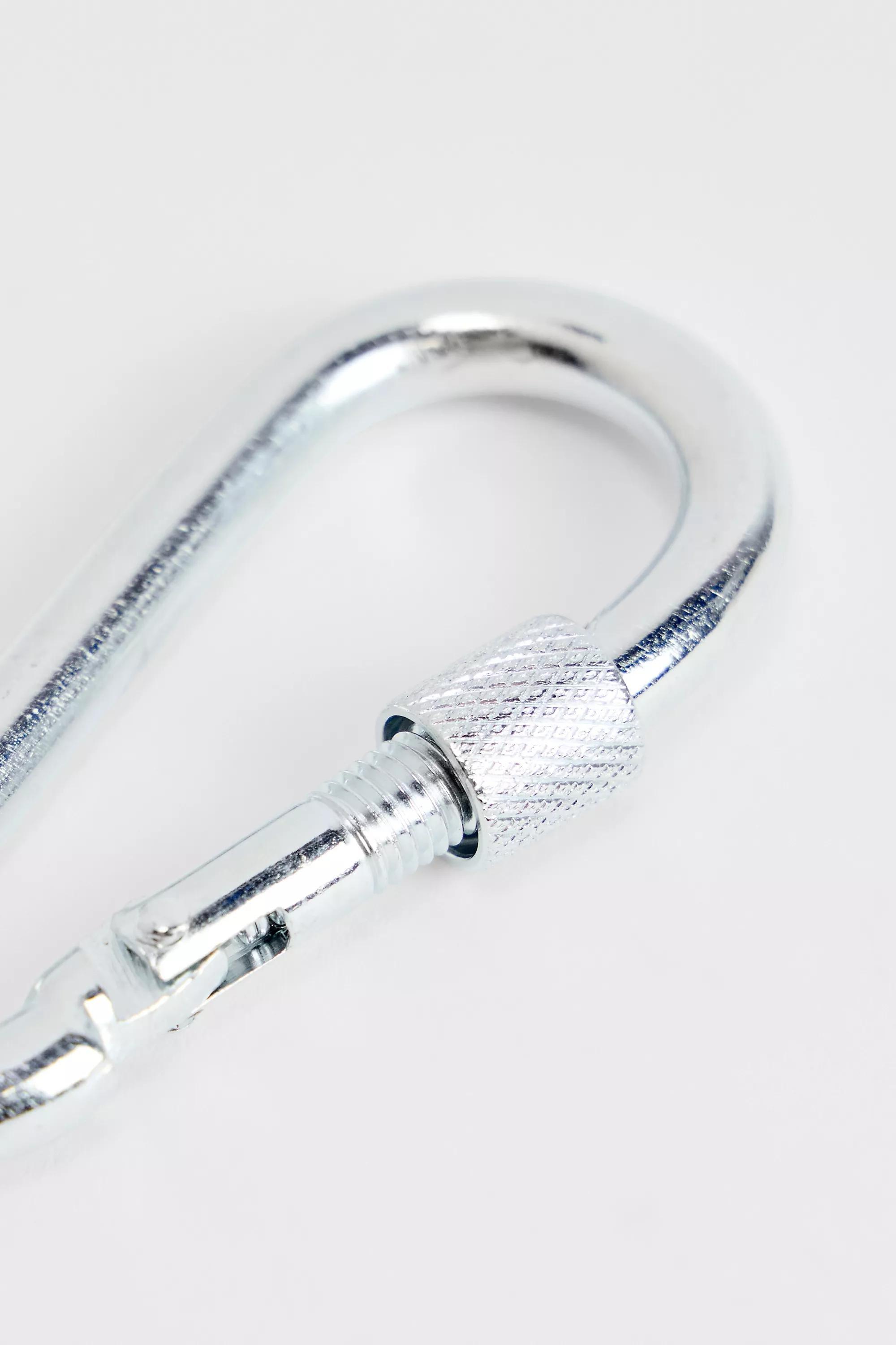 Silver Uo Classic Carabiner, SLVR, large image number 1