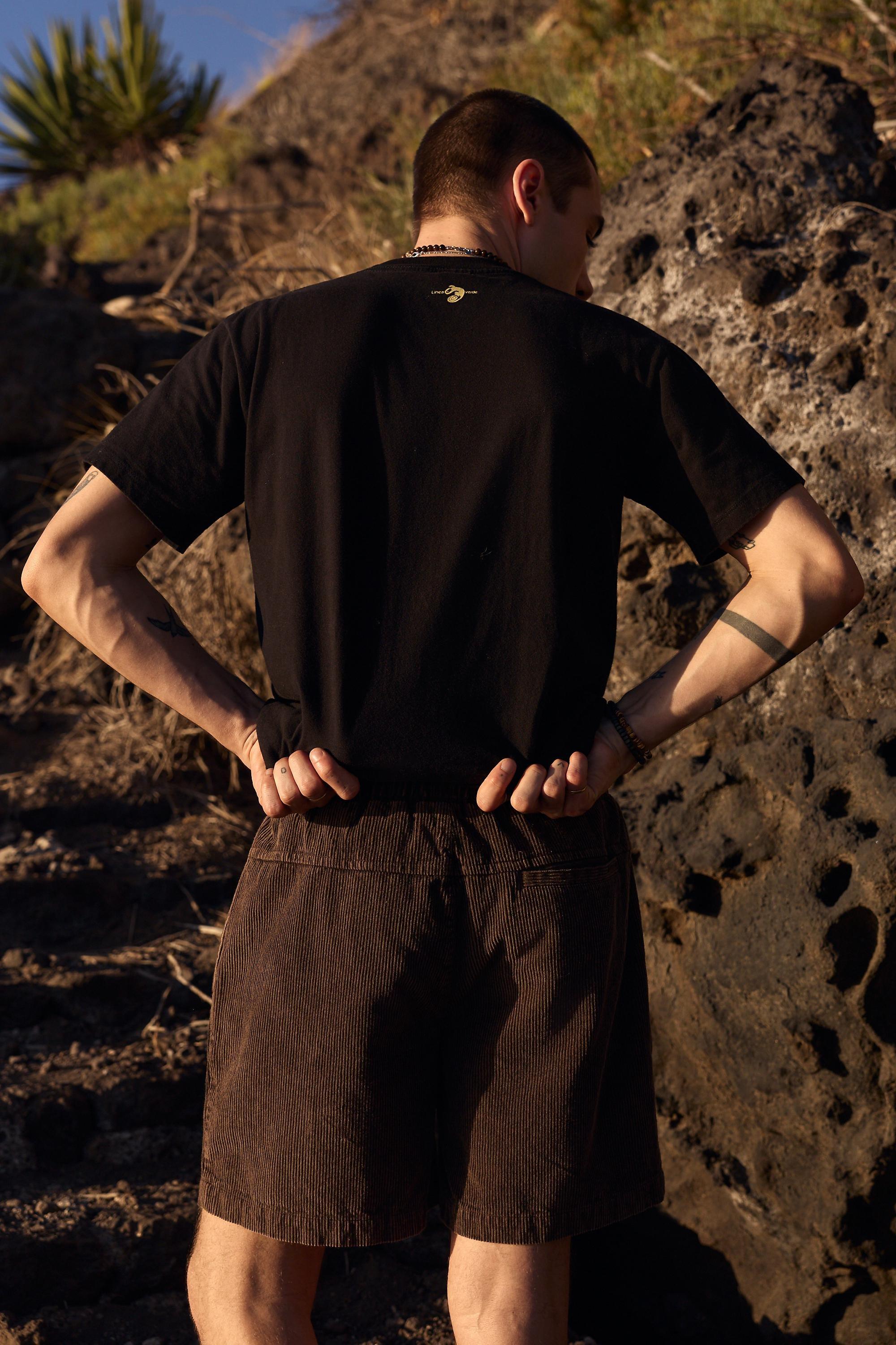 Brown Bdg Brown Corduroy Shorts, BRN, large image number 3