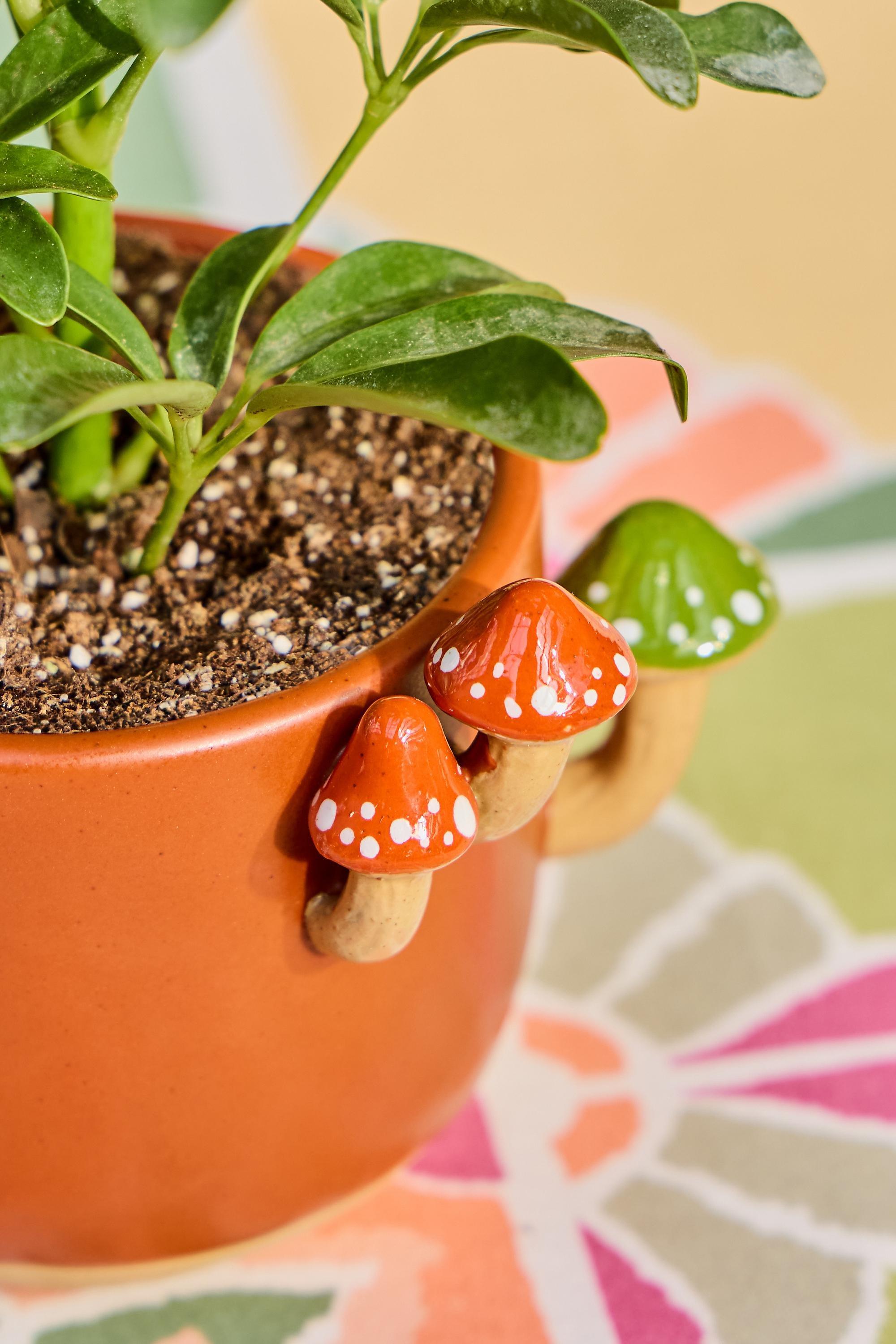 Brown Sprouting Mushroom Planter, A301_0224, large image number 1