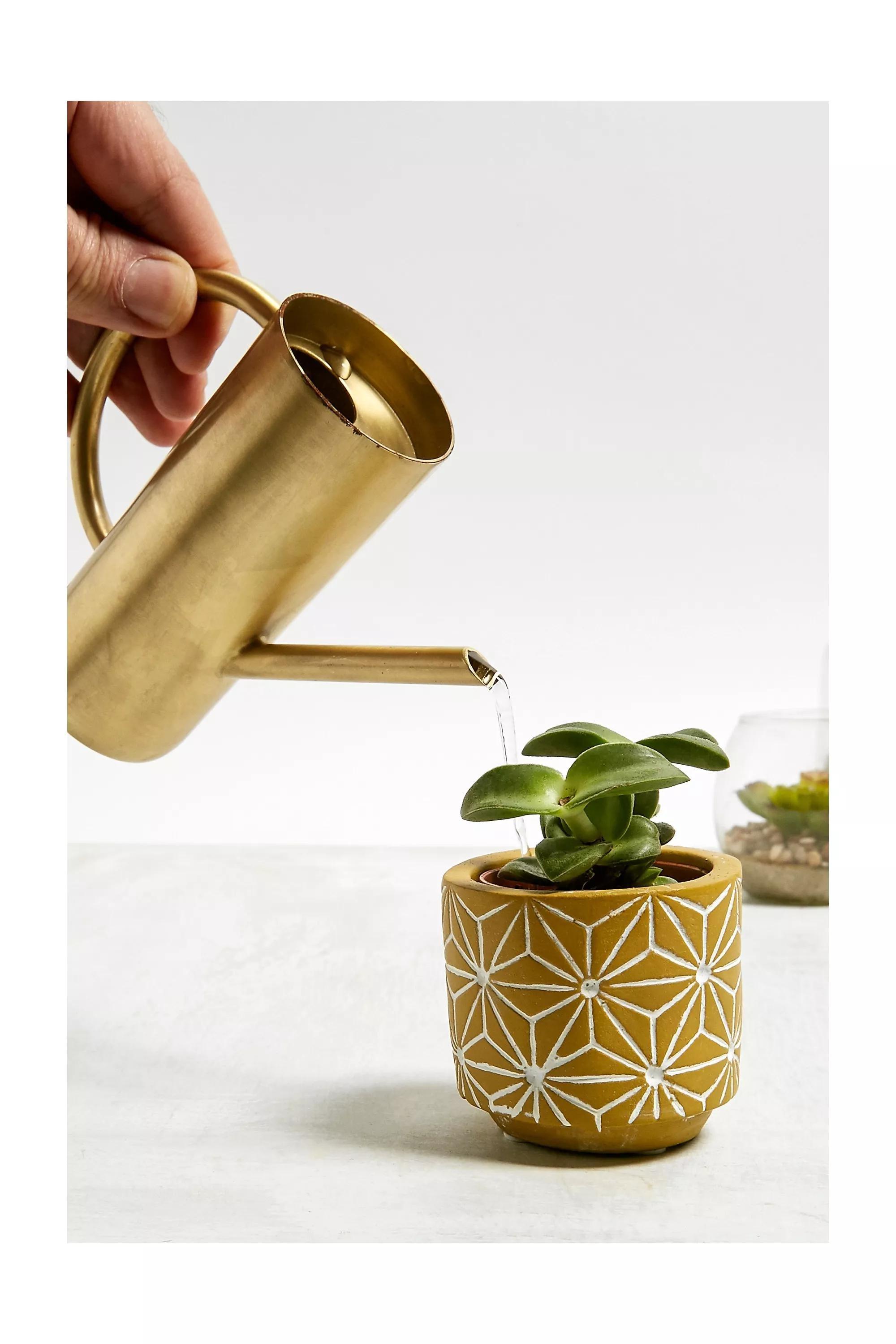 Gold Small Roxy Watering Can, GOLD, large image number 0
