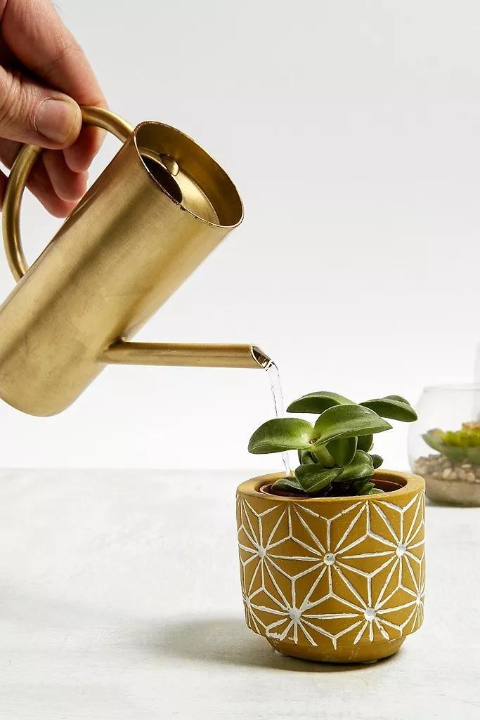 Assorted Roxy Gold Mini Watering Can, , large image number 0