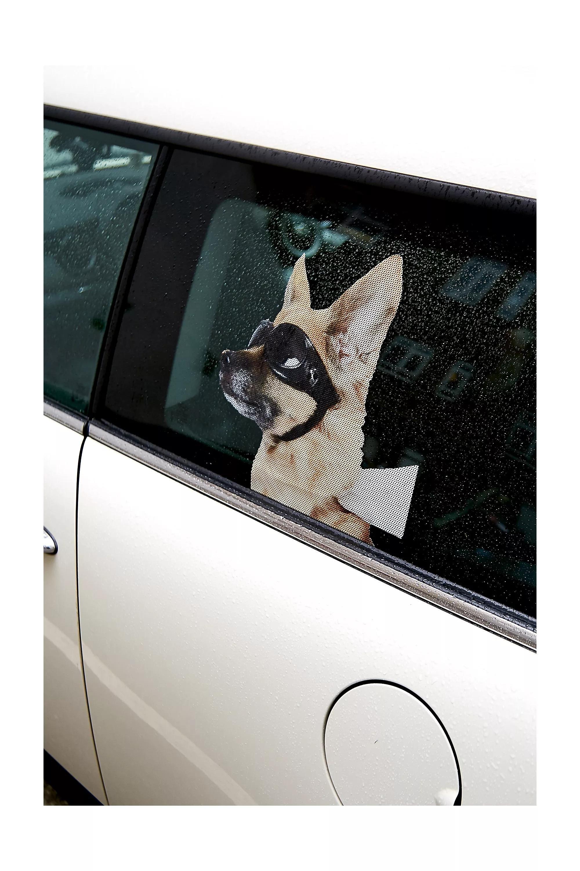 ASSORT Dog Car Decal, , large image number 0