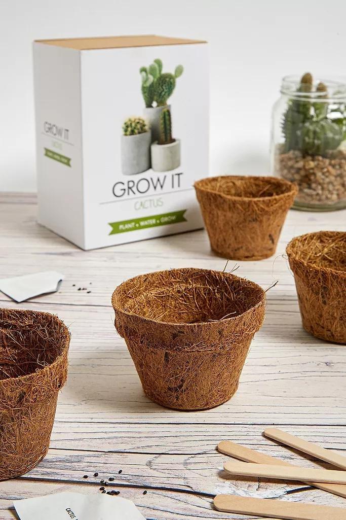 ASSORT Grow It Cactus Kit, , large image number 0