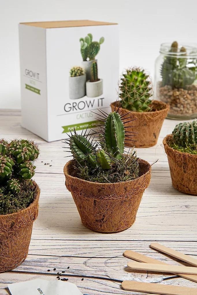ASSORT Grow It Cactus Kit, , large image number 1