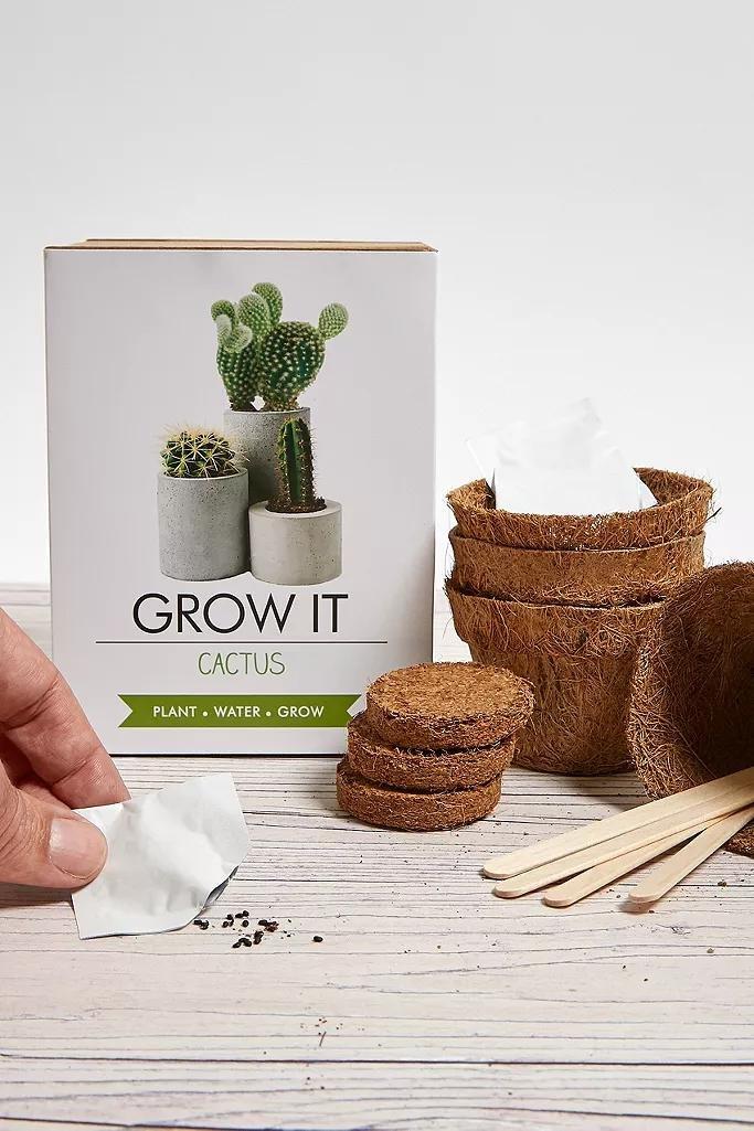 ASSORT Grow It Cactus Kit, , large image number 2