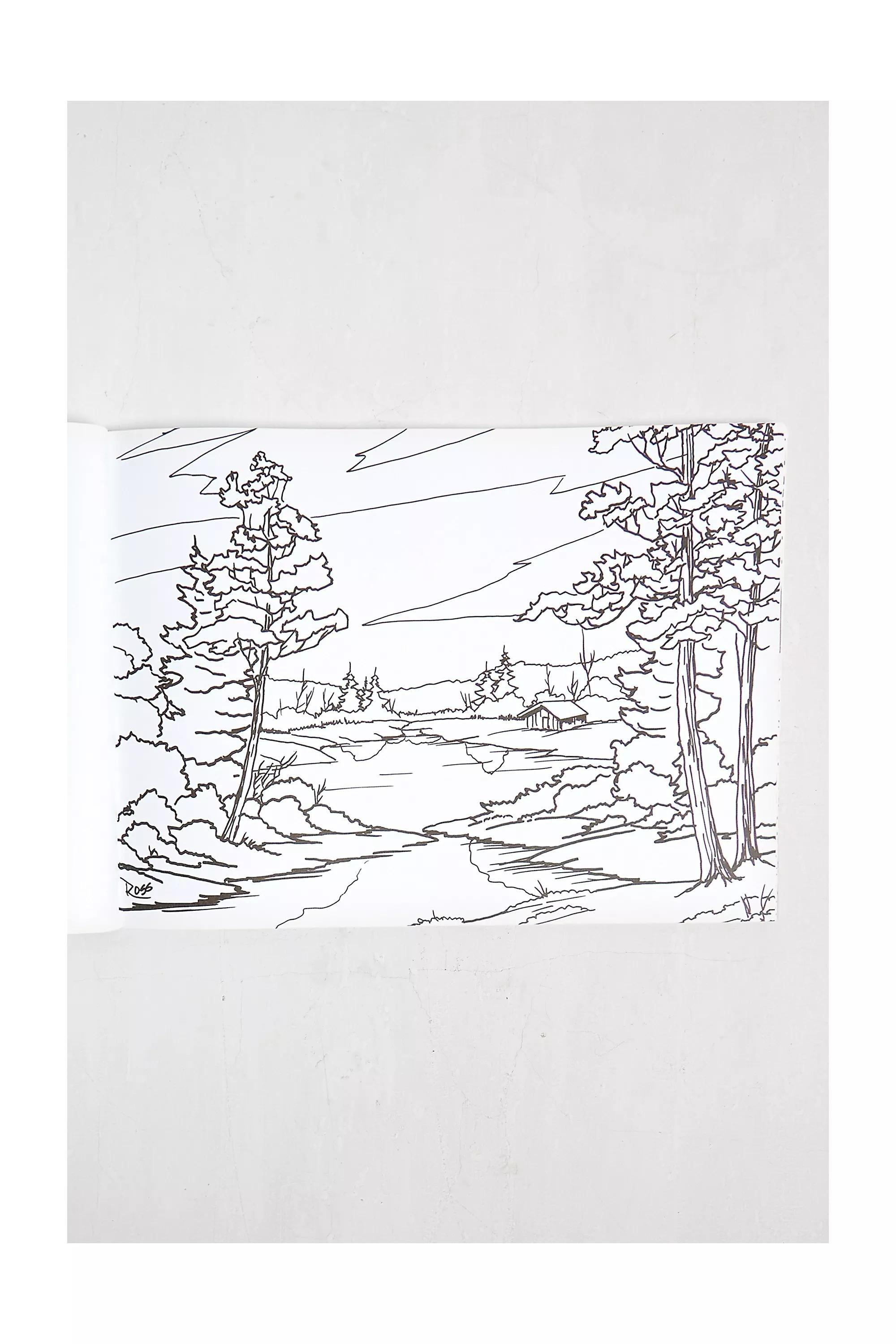 The Official Colouring Book By Bob Ross, ASSORT, large image number 2