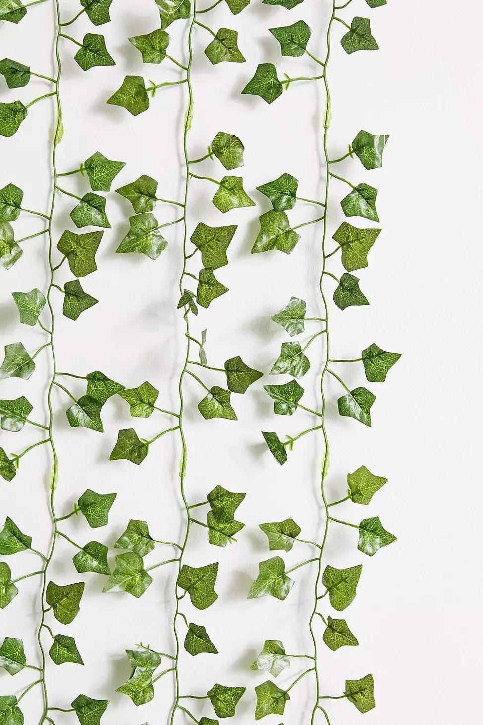 Green Vine Curtain, , large image number 2
