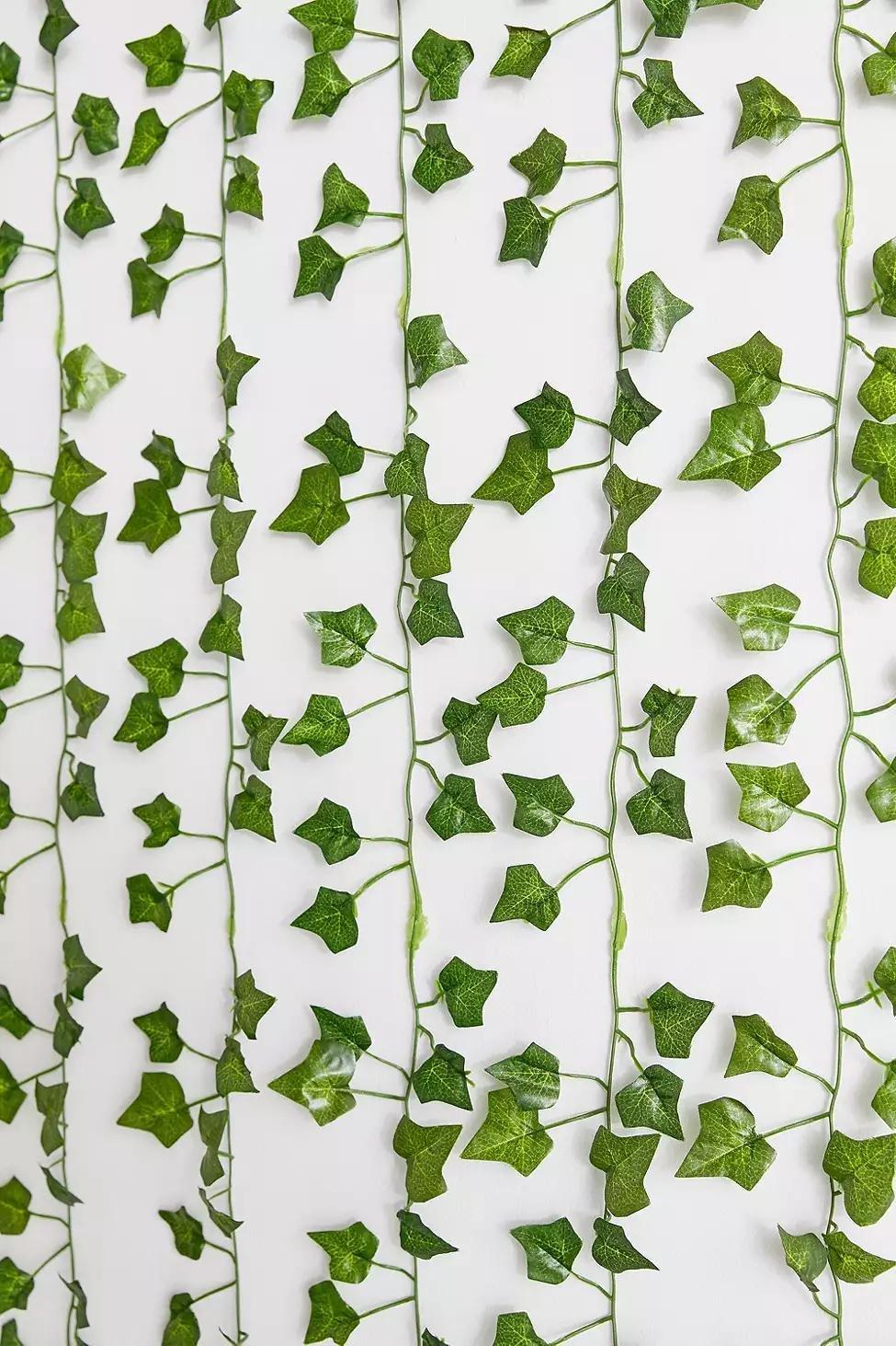 Green Vine Curtain, , large image number 3
