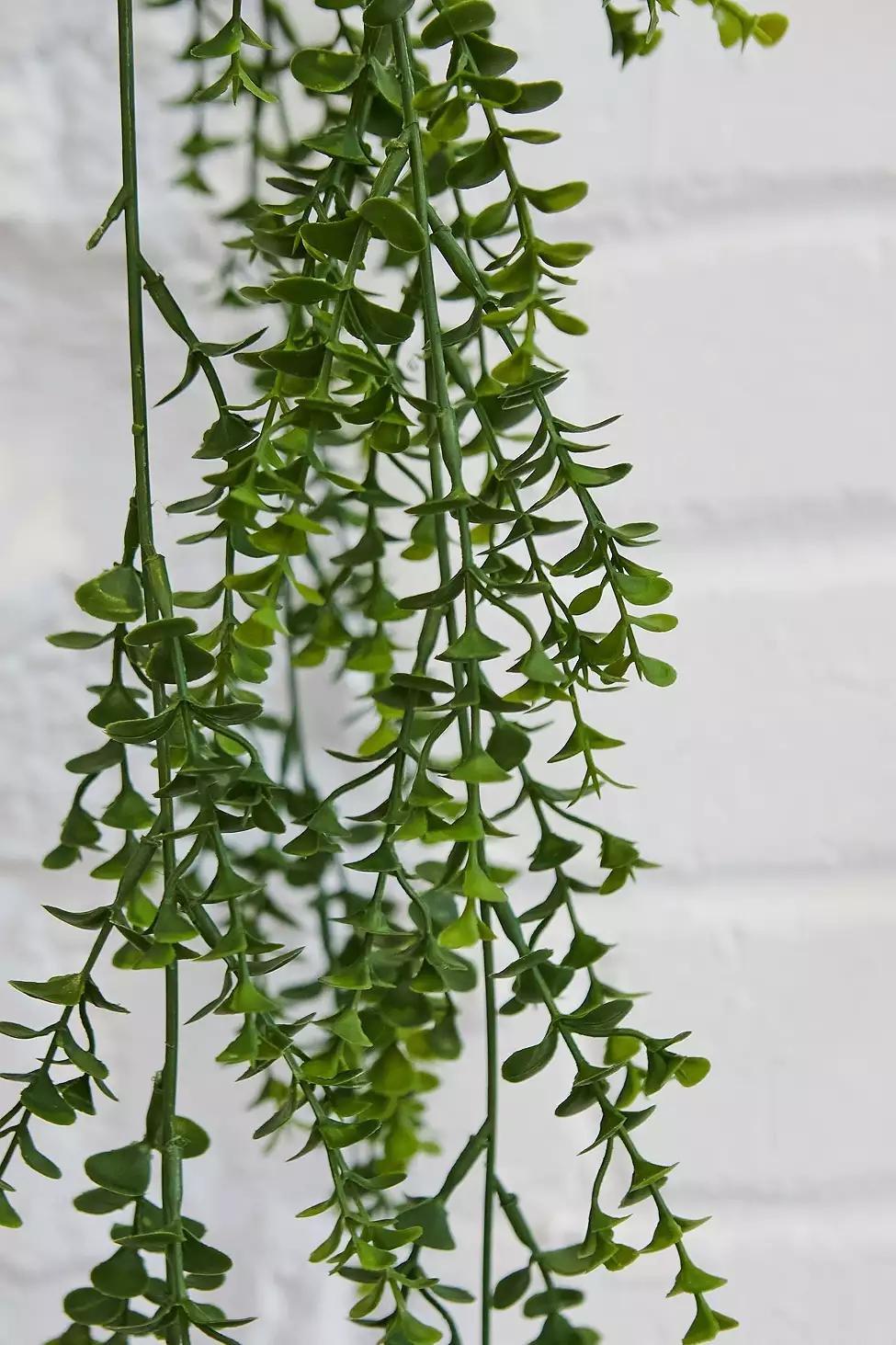 Assorted Faux Hanging Vine, , large image number 1