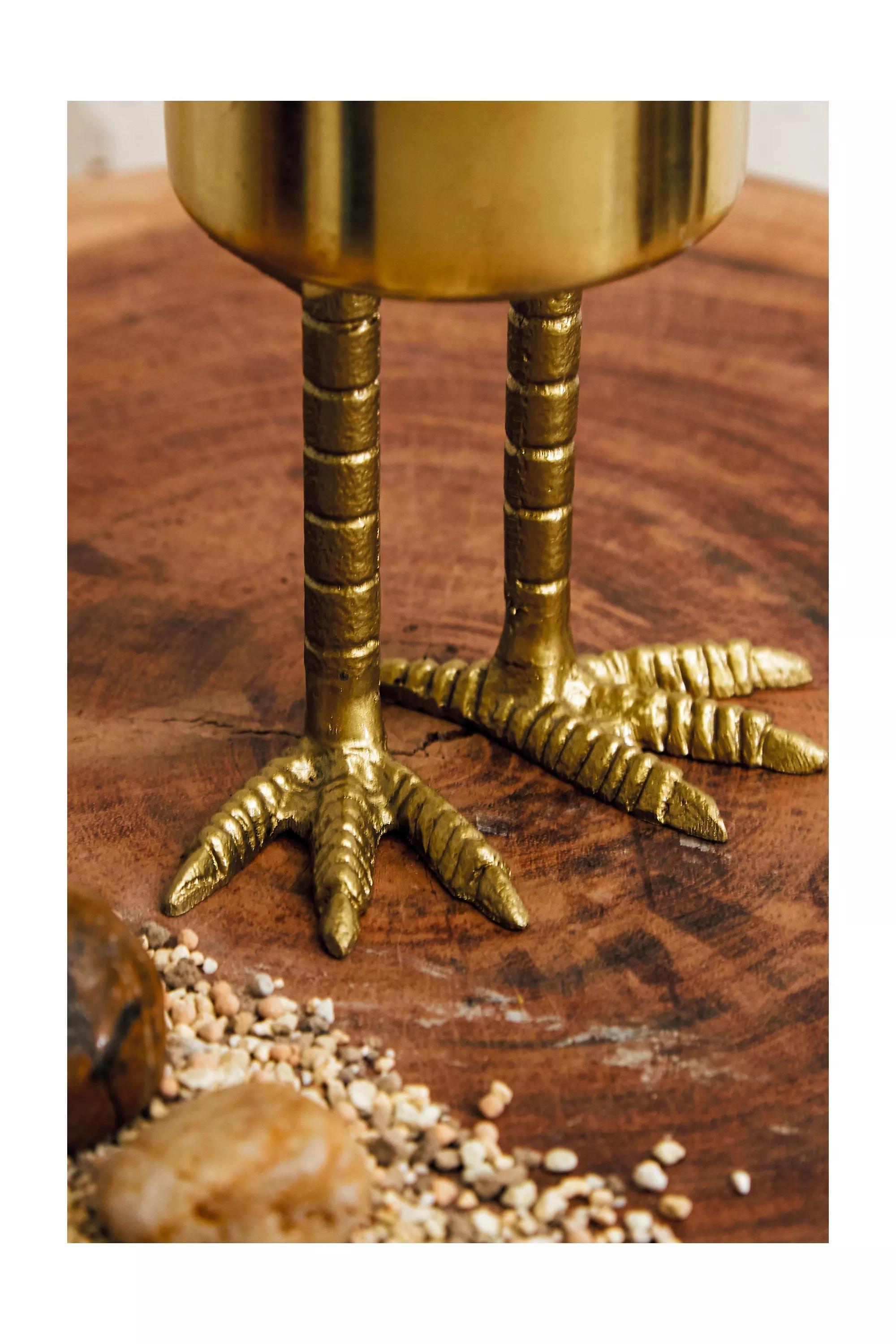 وعاء نبات صغير بأقدام طائر ذهبي, , large image number 2
