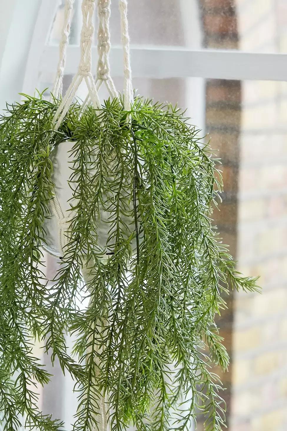 ASSORT Faux Trailing Rosemary Plant, , large image number 1