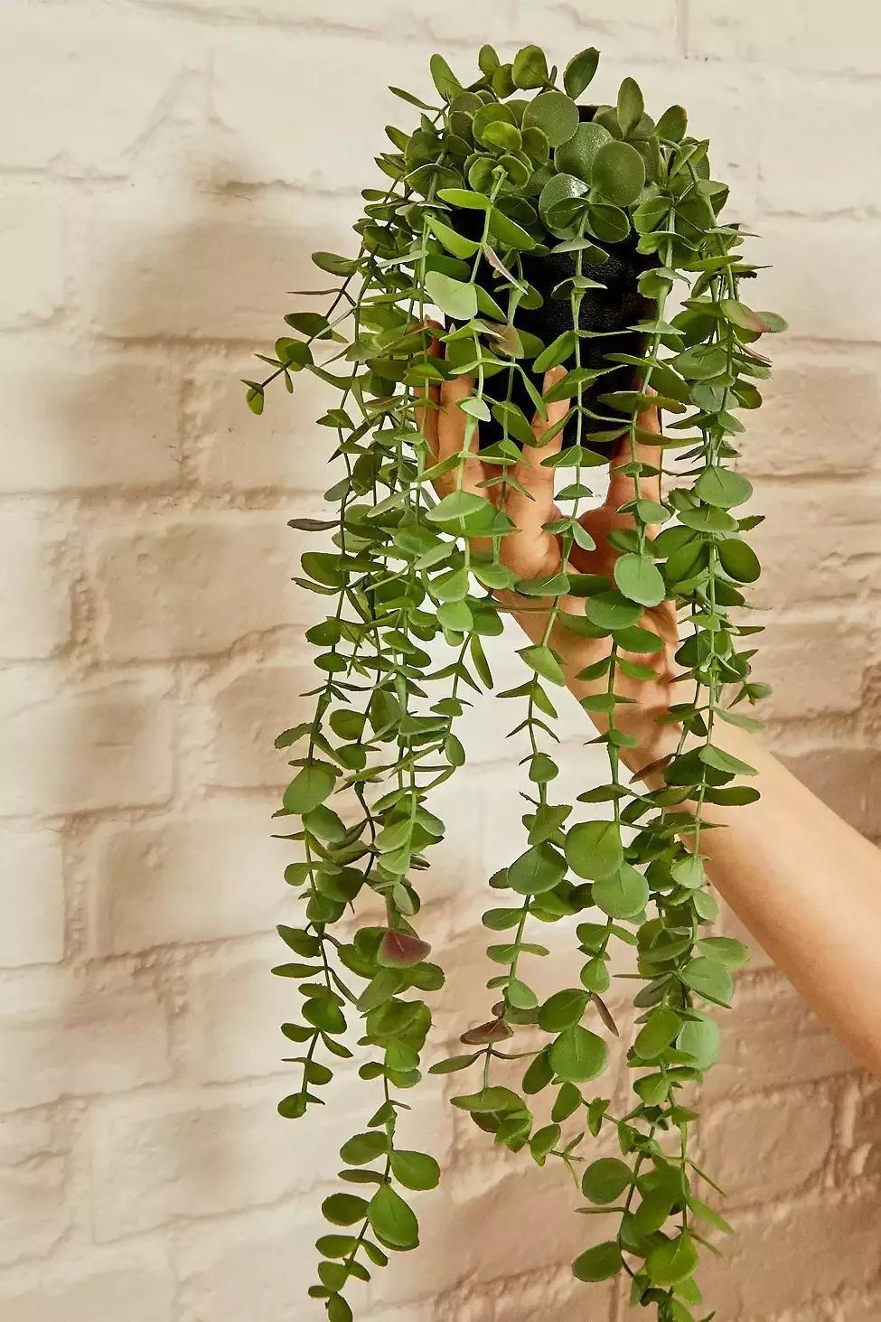 ASSORT Faux Trailing Eucalyptus Plant, , large image number 1